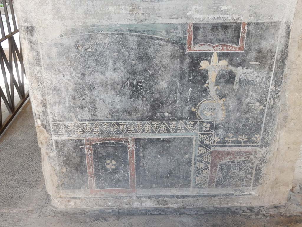 Villa San Marco, Stabiae, June 2019. 
Room 44, zoccolo on south wall of atrium, with entrance doorway, on left, and doorway to room 57, on right.
Photo courtesy of Buzz Ferebee.

