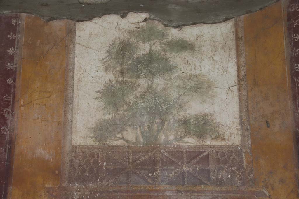 Villa San Marco, Stabiae. September 2021. Room 20, painted panel from east wall. Photo courtesy of Klaus Heese.