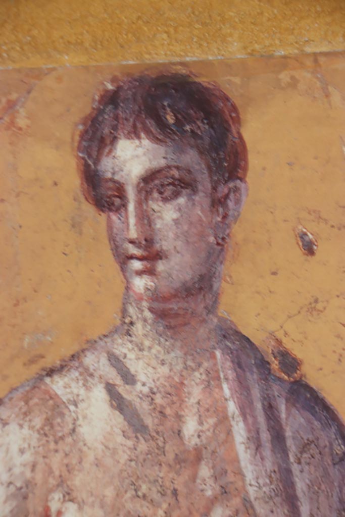 Villa San Marco, Stabiae, October 2022. 
Room 50, detail from painted figure from east end of north wall. Photo courtesy of Klaus Heese.
