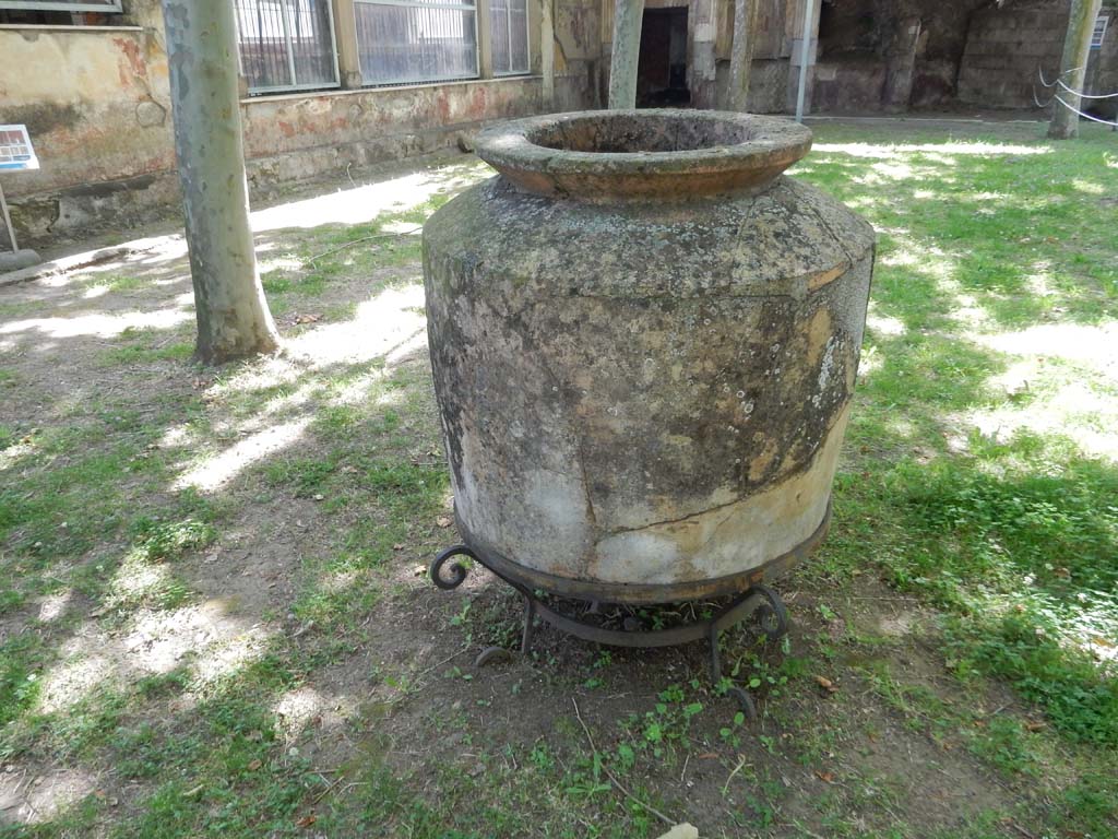 Villa San Marco, Stabiae, June 2019. Garden area 9, large garden pot. Photo courtesy of Buzz Ferebee