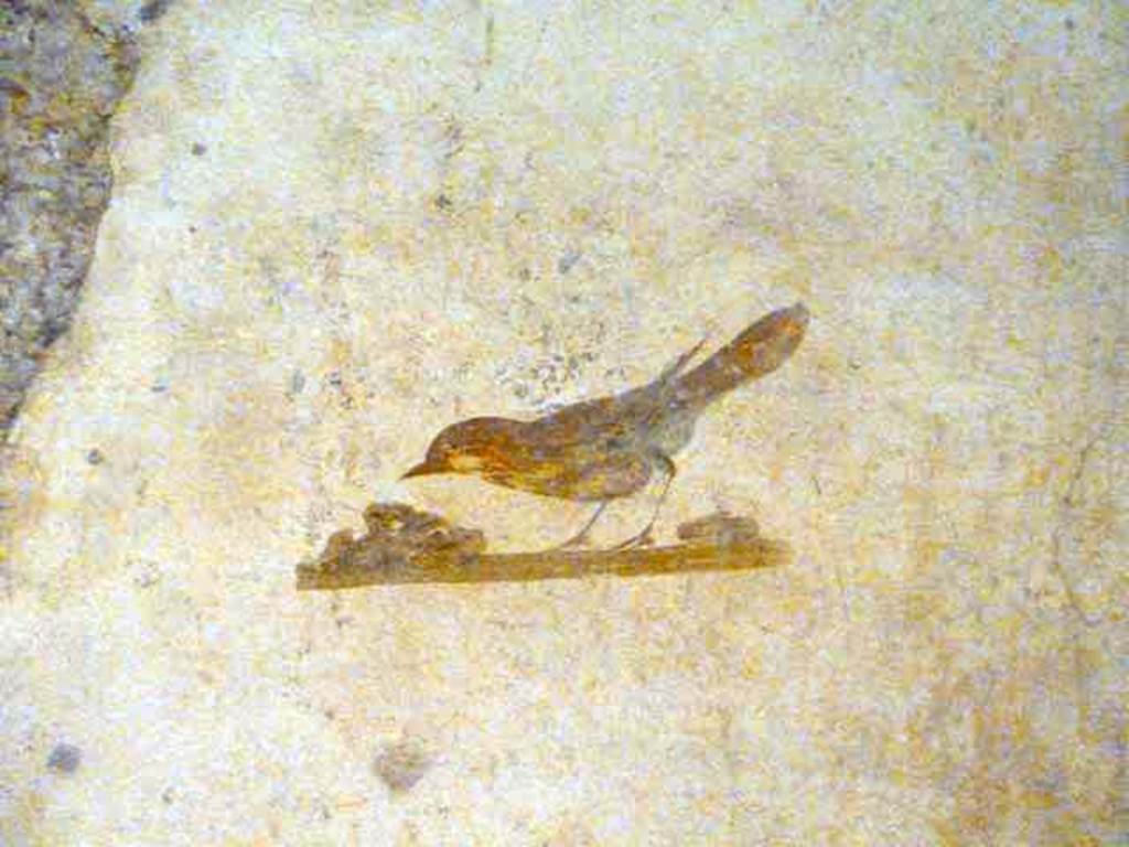 Villa San Marco, Stabiae, September 2015. Room 52, painted bird from south side of doorway in east wall.