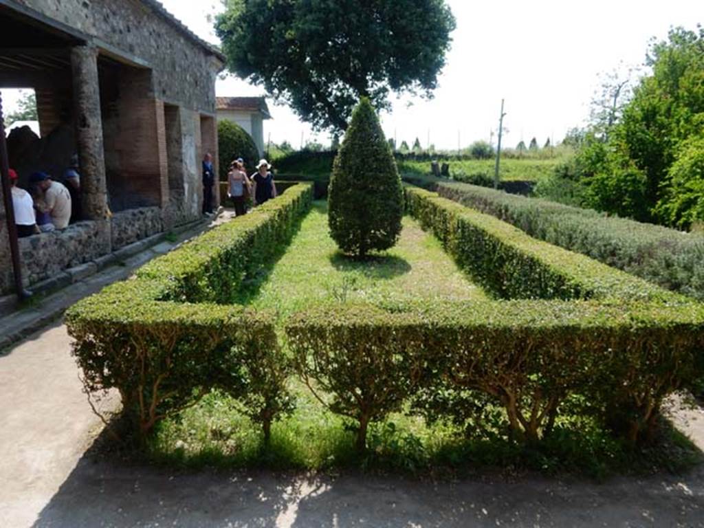 Villa of Mysteries, Pompeii. May 2015. Looking west along the north side of the garden in the north-west corner. Photo courtesy of Buzz Ferebee.
