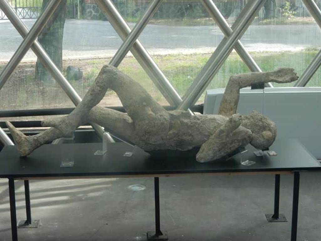 Piazza Anfiteatro. Pompeii. May 2018. Mystery plaster-cast on display in exhibition centre. Photo courtesy of Buzz Ferebee.
According to Maiuri, one of the two plaster-casts taken in the excavation of the Palaestra (1933, and 1935-39) was the 
“the handsome body of a young man, one of those strong, agile young men from Campania, with athletic legs just made for running and for the last gasp of the race”.  The victim had been identified as an athlete, also because of the discovery near his body of bronze strigils, usually used by gymnasts”
See Guzzo, P. (ed), (2003). Tales from an eruption. Milano, Electa. (p.143, article by Tiziana Rocco.
(Our comment: With his beautiful muscled legs, we are wondering if this was the other plaster-cast taken in the Palaestra by Maiuri, and described as “a man still appearing to be running, even in death”.)

(Estelle Lazer's, (the expert on plaster-casts) answered:
This cast is a bit of a mystery.  I have spoken to several people about it and no one seems to know when it was cast or where it came from.
It was stored in the church in Pompeii and came back to the site when the cast restoration project started in 2015. 
We have x-rayed it extensively.  It has what appears to be a complete skeleton and appears to be intact. 
I will certainly let you know if I can manage to find out more about it.) 

According to Garcia y Garcia, with regards to plaster casts that were shown in the antiquarium prior to the 1943 bombing, they perhaps were either destroyed, or are now located elsewhere.
See Garcia y Garcia, L., 2006. Danni di guerra a Pompei. Rome: L’Erma di Bretschneider, (p.194).

(Comment: we would love to find out what happened to the Maiuri plaster-cast, was it in the Antiquarium when it was bombed in 1943?, or had it already been sent to the Pompeii church for storage?, surely such a beautiful plaster-cast would have been displayed ? Please feel free to make a comment on this mystery.)

