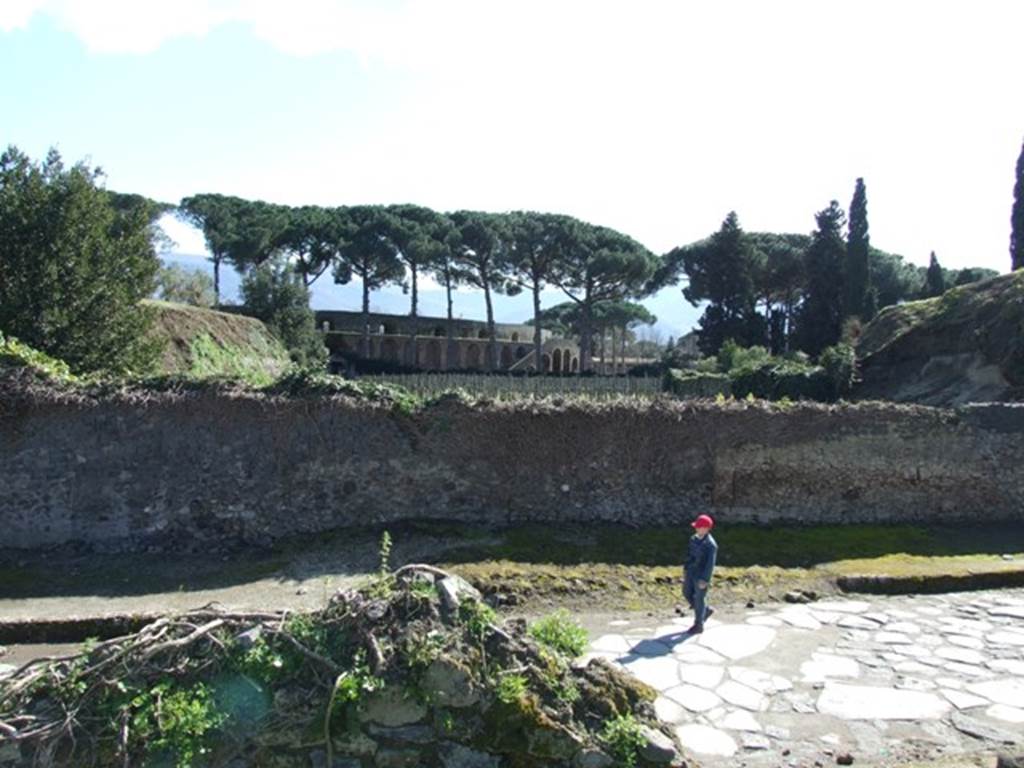 Via dell’ Abbondanza. Looking south across II.5 towards Amphitheatre. March 2009.