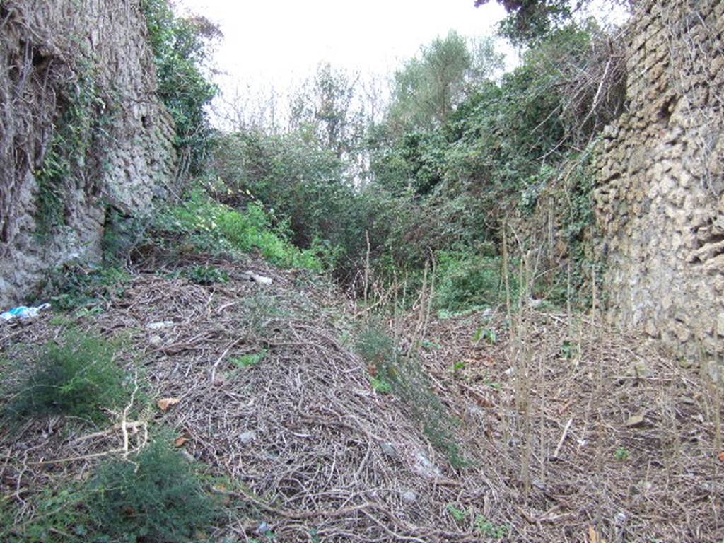 Unnamed vicolo between III.4 and III.5. Looking north from junction on Via dell’Abbondanza. December 2005.