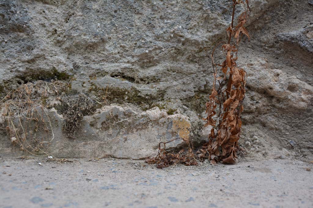 Vicolo del Centenario, west side, Pompeii. May 2017. Detail of remaining stucco.
Foto Christian Beck, ERC Grant 681269 DÉCOR.
