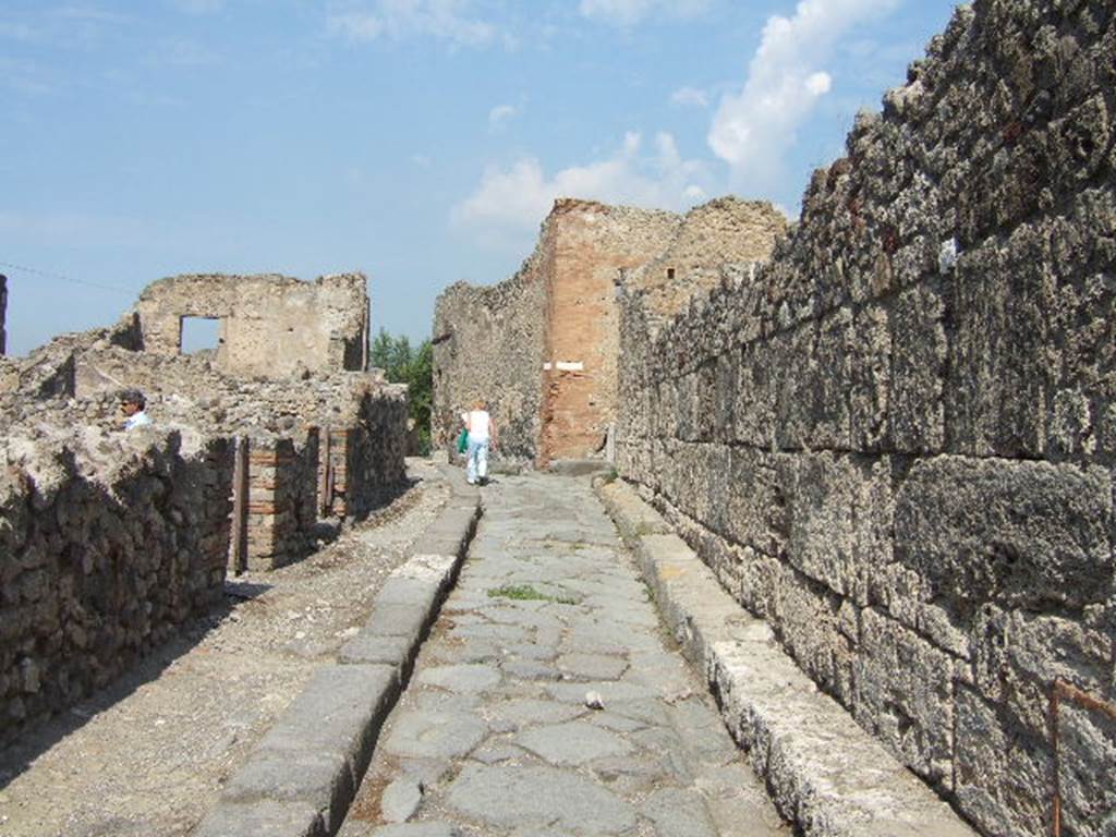 Vicolo del Gigante between VII.16 and VII.7. September 2005. Looking north towards junction with Vicolo del Gallo. 
On the left are the remains of the front façade and doorways of VII.16.8 and 9.
On the right is the west wall of VII.7.10, after the 1943 destruction.
