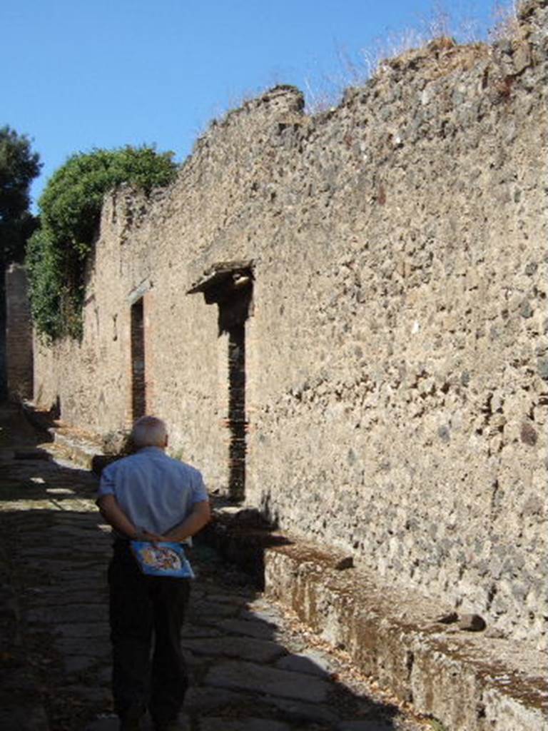 Vicolo delle Pareti Rosse. September 2005. North side. Looking west near VIII.5.38. 

