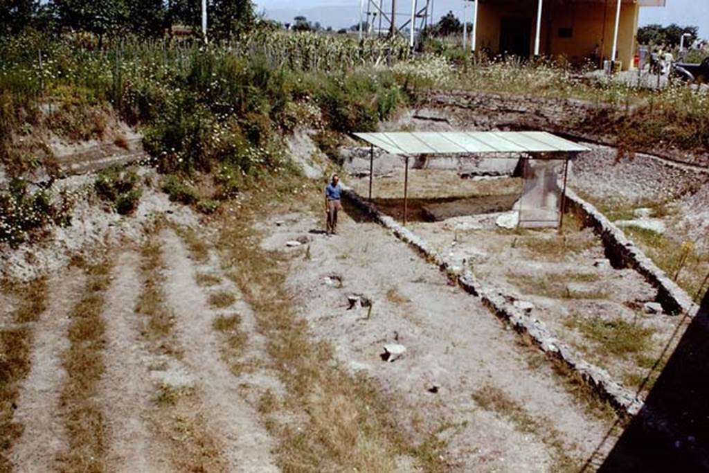 Scafati, 1968. Sig.Sicignano standing in the roadway between the trees and the tomb-wall.
Photo by Stanley A. Jashemski.
Source: The Wilhelmina and Stanley A. Jashemski archive in the University of Maryland Library, Special Collections (See collection page) and made available under the Creative Commons Attribution-Non Commercial License v.4. See Licence and use details.
J68f1491
