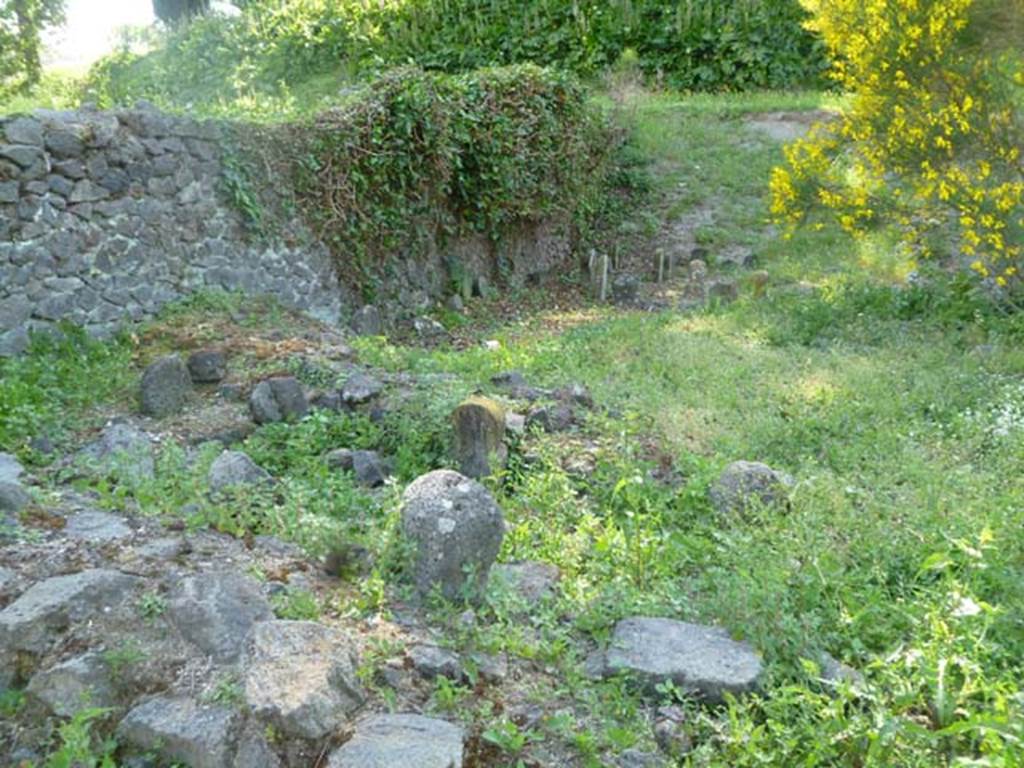 FPSD Pompeii. May 2011. Looking west across the tomb area. Photo courtesy of Michael Binns.