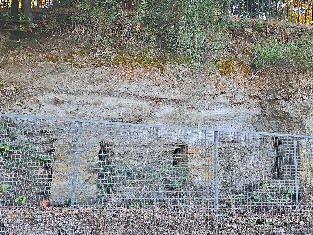 Pompeii Porta Nocera. October 2024.
Surge and lapilli layers from 79AD eruption on east side of Tomb 19ES. Photo courtesy of Giuseppe Ciaramella.
