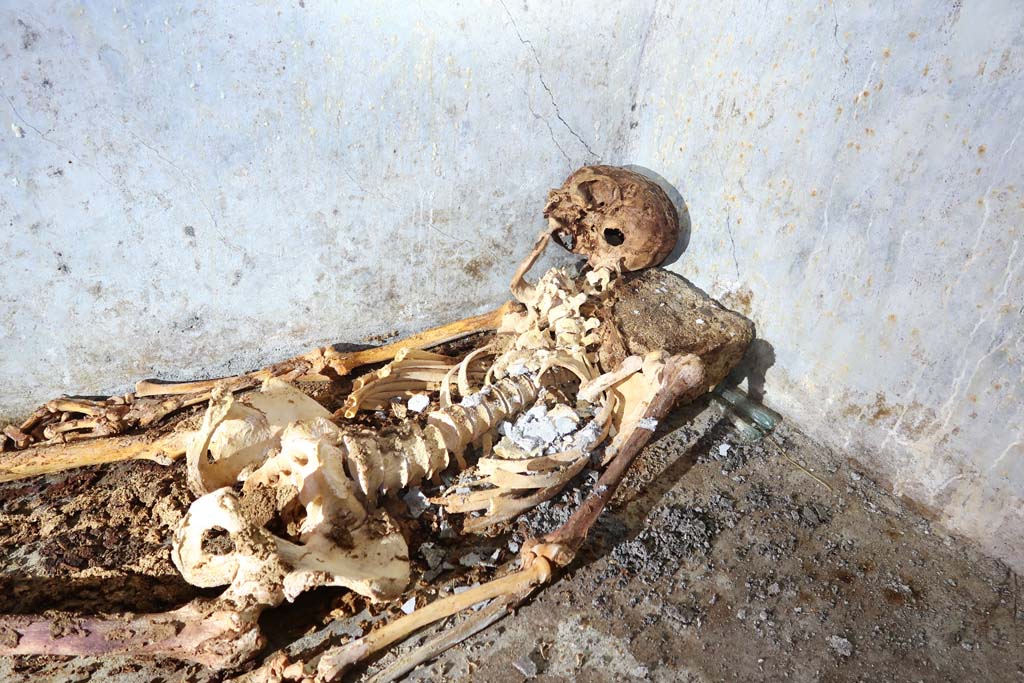 Porta Sarno la tomba di Marcus Venerius Secundio. August 2021. One of the best-preserved skeletons ever found in the ancient city.
During the Roman period at Pompeii, funeral rites usually involved cremation, while only small children were buried. The burial of Marcus Venerius is thus highly unusual also for the funeral rite that was adopted, considering that he was an adult man over 60 years of age, as evidence emerging from the initial analysis of bones found in the burial chamber indicates. The characteristics of the funerary chamber, which consisted of a hermetically sealed room, created conditions that allowed for the exceptional state of preservation in which the skeleton was found, with hair and an ear still visible.

Uno degli scheletri meglio conservati ritrovati nella città antica.
Durante il periodo romano a Pompei, i riti funebri di solito prevedevano la cremazione, mentre solo i bambini piccoli venivano sepolti. La sepoltura di Marco Venerio è dunque altamente insolita anche per il rito funerario adottato, considerando che si trattava di un uomo adulto di più di 60 anni, come emerge da una prima analisi delle ossa ritrovate nella camera funeraria. Le caratteristiche della camera funeraria, che consisteva in un ambiente ermeticamente chiuso, hanno creato le condizioni per lo stato di conservazione eccezionale in cui è stato trovato lo scheletro, con capelli e un orecchio ancora visibili. 

Photograph © Parco Archeologico di Pompei.
