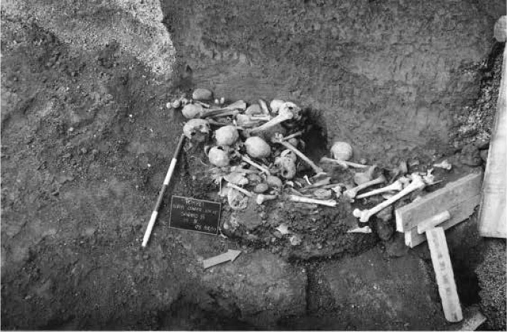 Pompeii Porta Sarno Necropolis. 1999. Deposit of human and a few animal bones.
To the north-west of the funerary enclosure, adjacent to it, an area with structures has been partially explored, characterised by a colonnade in opus vittata mixed with bricks and blocks of lava stone and travertine. The state of the structures and the accumulation, in the same place, of blocks of lava stone that had not yet been hewn, suggest that construction or reconstruction work was still in progress. In the escarpment that delimits this sector on the N side, a large funnel-shaped pit (2.80 m deep, 2.70 m wide at the top and 1.50 m wide at the base) is clearly visible in section, clearly cutting through the eruptive stratigraphy. At the base, there is a deposit of human and a few animal bones, apparently in a secondary position since they are not connected. Beneath this pile of bones, are a few clay pots, also containing burnt bones. This accumulation of artefacts, as well as the wall structures mentioned above, both of which are of unclear interpretation, continue under the slope that delimits the excavation. It is hoped that an extension of the intervention area and further exploration will clarify the situation.

Deposito di ossa umane e alcune animali.
A nord-ovest del recinto funerario, a questo adiacente, è stata parzialmente esplorata un'area con strutture, caratterizzata da un colonnato in opera vittata mista con laterizi e blocchetti di pietra lavica e di travertino. Lo stato delle strutture e l'accumulo, nello stesso luogo, di blocchi di pietra lavica non ancora sbozzati, lascia pensare che fossero ancora in corso lavori di costruzione o di rifacimento. Nella scarpata che delimita questo settore sul lato N, è chiaramente visibile, in sezione, una grande fossa imbutiforme (profonda 2,80 m; larga 2, 70 m alla sommità e 1.50 m alla base) che taglia nettamente la stratigrafia eruttiva. Alla base, c'è un deposito di ossa umane e alcune animali, apparentemente in giacitura secondaria dal momento che non sono in connessione. Sotto questo cumulo di ossa, sono alcuni vasi fittili, anch'essi contenenti ossa combuste. Questo accumulo di reperti, così come le strutture murarie cui si è fatto cenno, ambedue di poco chiara interpretazione. proseguono sotto la scarpata che delimita lo scavo. Si spera che un ampliamento dell'area di intervento e un approfondimento dell'esplorazione possano chiarire la situazione.

See/Vedi Suburbio Orientale in Rivista di Studi Pompeiani X, 1999, p. 182, fig. 4.
