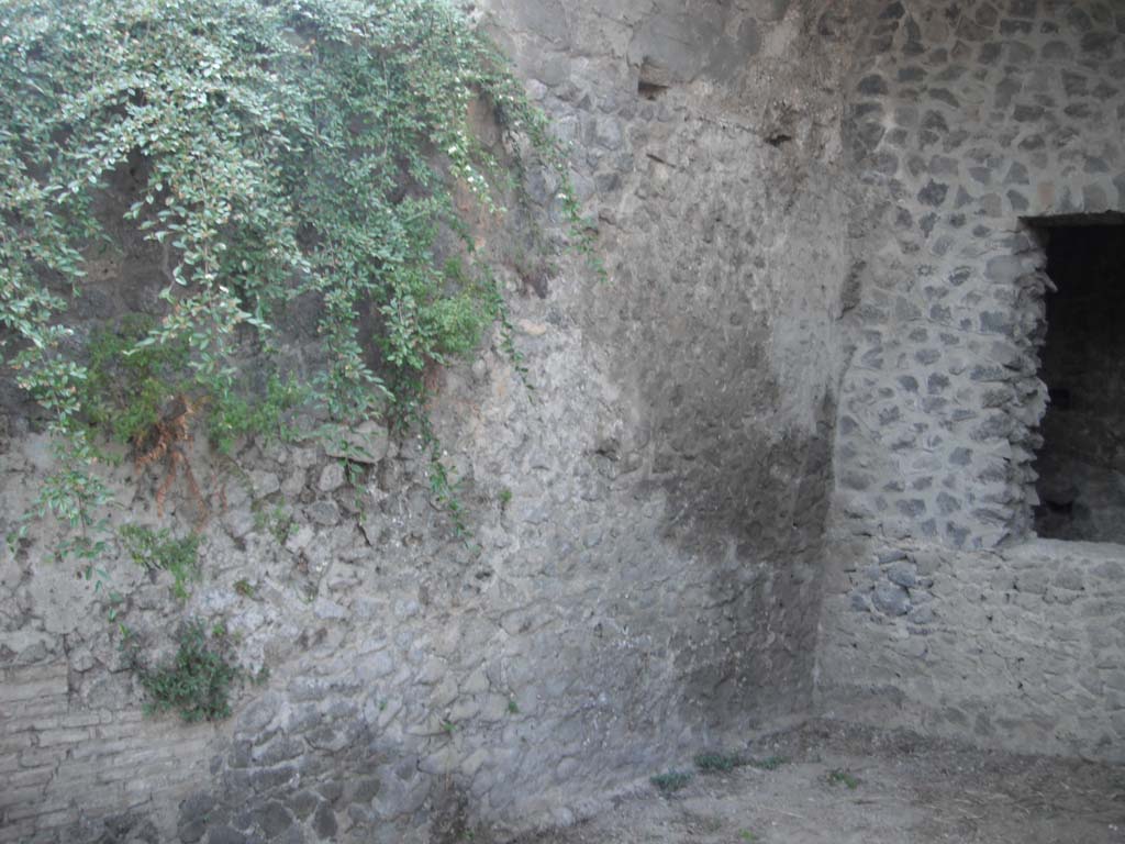 Tower II, Pompeii. May 2011.
Looking north along west wall of main vaulted room towards north-west corner. Photo courtesy of Ivo van der Graaff.
