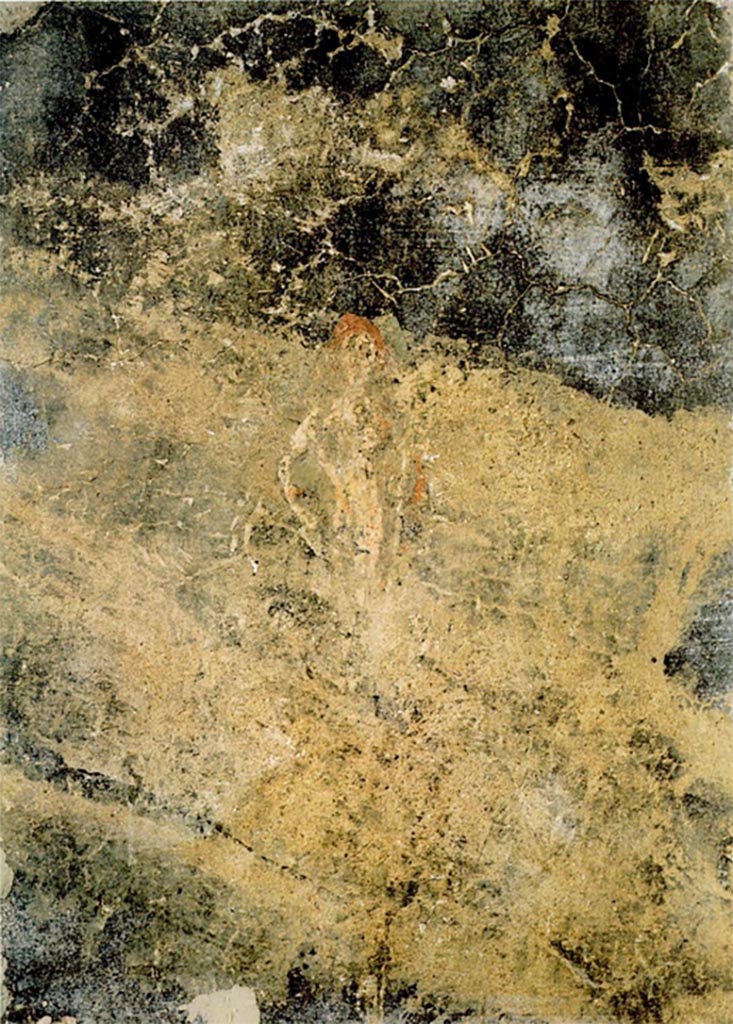 Scafati. Villa rustica in proprietà Rosa Buccino via Tenente Jorio. Affresco.
Vedi Conticello de' Spagnolis, M., 1994. Il Pons Sarni di Scafati e la via Nuceria-Pompeios, Soprintendenza Archeologica di Pompei Monografie, 08, p. 26, fig. 15.
