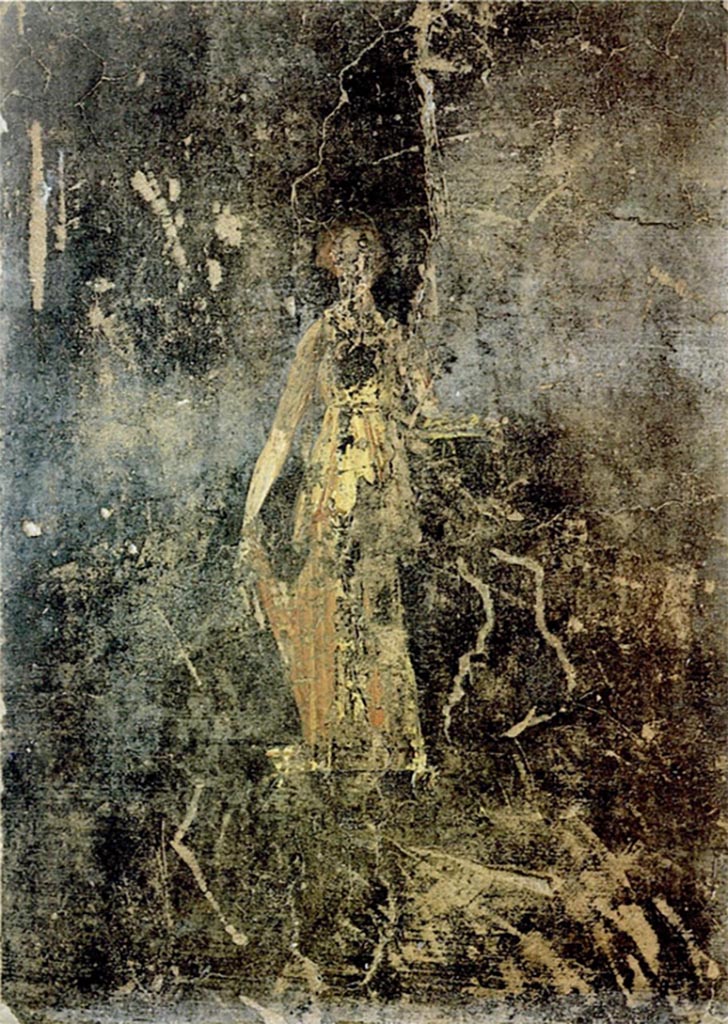 Scafati. Villa rustica in proprietà Rosa Buccino via Tenente Jorio. Affresco.
Vedi Conticello de' Spagnolis, M., 1994. Il Pons Sarni di Scafati e la via Nuceria-Pompeios, Soprintendenza Archeologica di Pompei Monografie, 08, p. 28, fig. 17.
