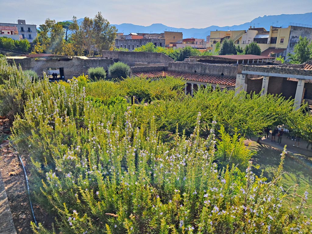 Oplontis Villa of Poppea, October 2023. Looking south-east across the north garden.Photo courtesy of Giuseppe Ciaramella. 