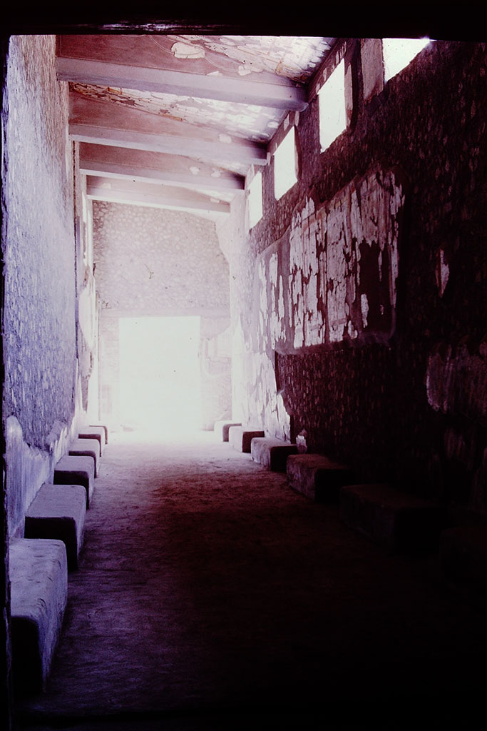Oplontis Villa of Poppea, 1977.
Room 46, corridor with benches, looking east towards doorway to portico 60. Photo by Stanley A. Jashemski. 
Source: The Wilhelmina and Stanley A. Jashemski archive in the University of Maryland Library, Special Collections (See collection page) and made available under the Creative Commons Attribution-Non-Commercial License v.4. See Licence and use details.
J77f0211
