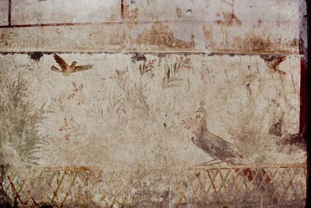 Oplontis, c.1977. Room 78, detail of peacock and two birds flying above. Photo by Stanley A. Jashemski.   
Source: The Wilhelmina and Stanley A. Jashemski archive in the University of Maryland Library, Special Collections (See collection page) and made available under the Creative Commons Attribution-Non Commercial License v.4. See Licence and use details. Oplo0177
