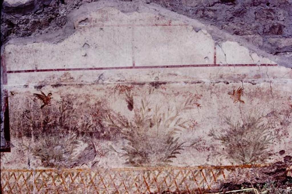 Oplontis, c.1977.  Room 78, exterior wall to the north (right) of the window, with a painted bird possibly a pigeon sitting on the trellis.  Two birds fly above the painted plants. Photo by Stanley A. Jashemski.   
Source: The Wilhelmina and Stanley A. Jashemski archive in the University of Maryland Library, Special Collections (See collection page) and made available under the Creative Commons Attribution-Non Commercial License v.4. See Licence and use details. Oplo0139
