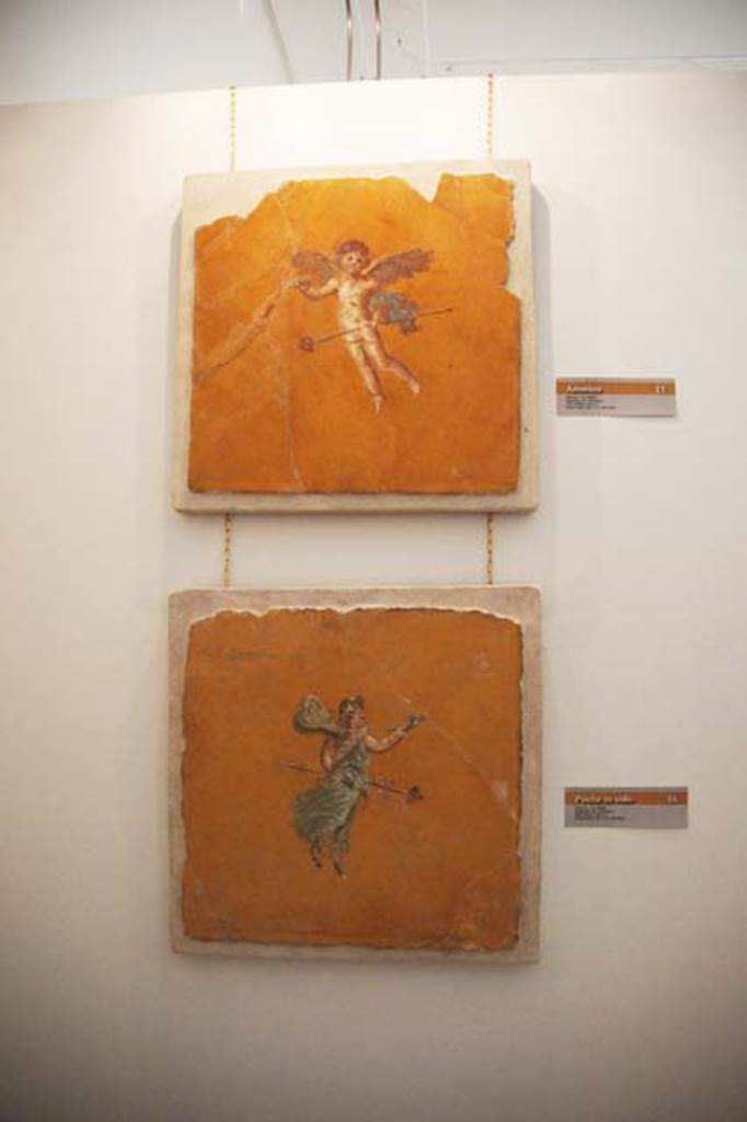 Gragnano, Villa rustica in Località Carmiano, Villa A. Room 9. 
Two frescoes one of a flying cupid and below a flying psyche.
Stabiae Antiquarium, inventory numbers 63694 [cupid] and 63693 [psyche].
Photo courtesy of Margaret Hicks.
