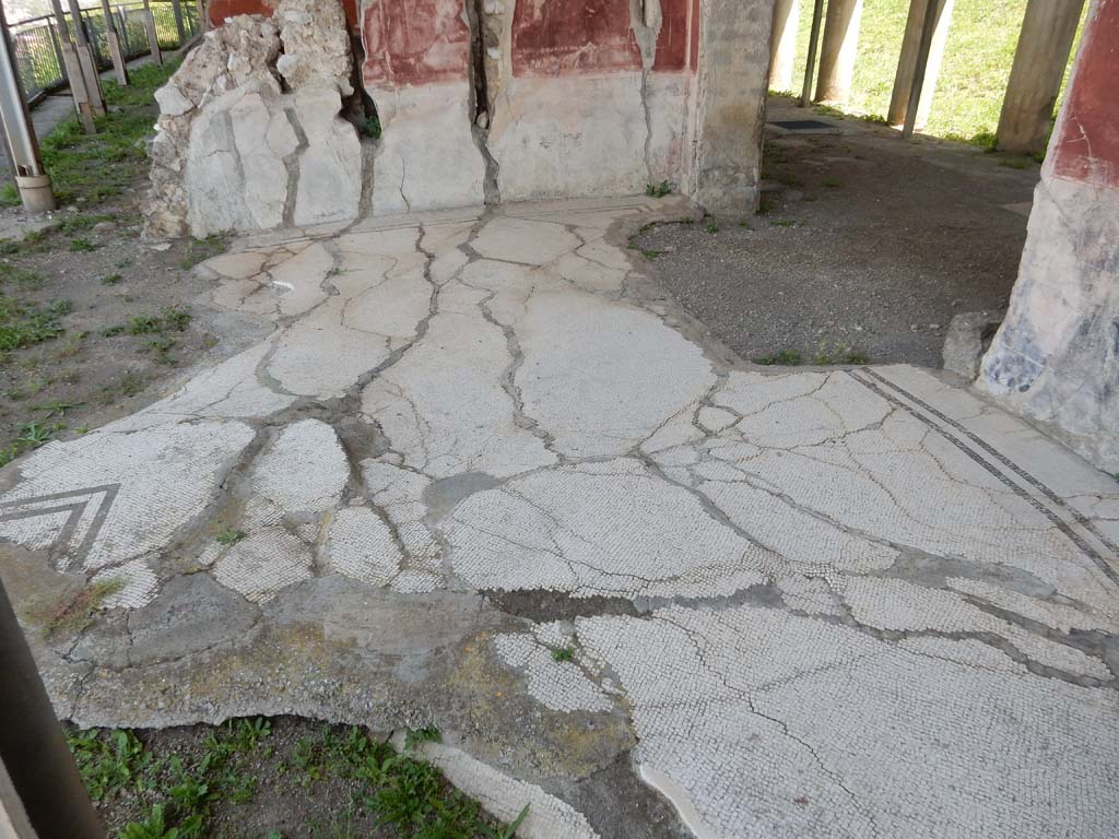 Stabiae, Secondo Complesso, June 2019. 
Room 12, looking east across flooring (with remaining part of central emblema, on left) with doorway to room 1, peristyle, on right. 
Photo courtesy of Buzz Ferebee.

