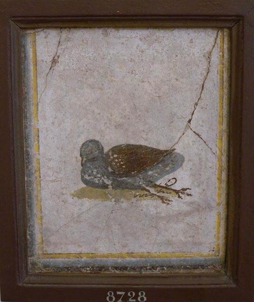 Stabiae, Villa Arianna, found 22nd July 1758. Room W.15. Painting of bird.
Now in Naples Archaeological Museum. Inventory number 8728.
See Pagano, M. and Prisciandaro, R., 2006. Studio sulle provenienze degli oggetti rinvenuti negli scavi borbonici del regno di Napoli.  Naples: Nicola Longobardi, p. 242. 
See Sampaolo V. and Bragantini I., Eds, 2009. La Pittura Pompeiana. Electa: Verona, p. 490.
