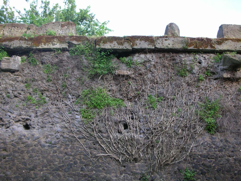 Walls on north side of Pompeii. May 2010.  Detail. Photo courtesy of Ivo van der Graaff.