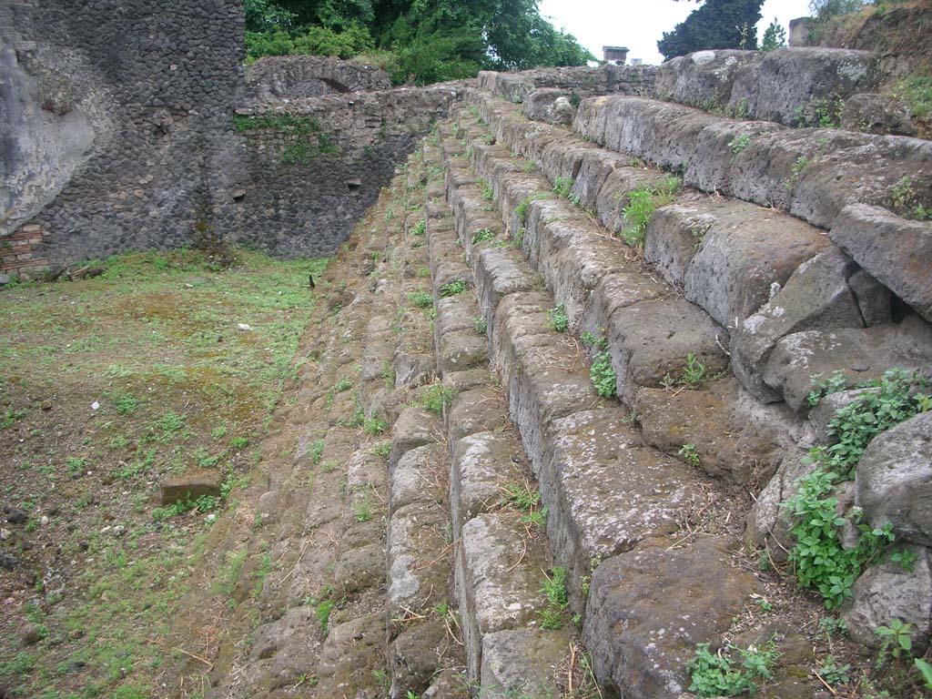 VI.1.1 Pompeii. May 2010. Looking west along steps. Photo courtesy of Ivo van der Graaff.