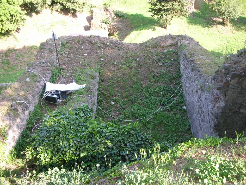 Tower III, Pompeii. May 2010. Looking south from north side. Photo courtesy of Ivo van der Graaff.