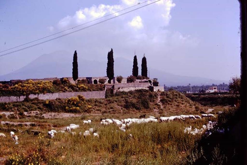 T5 Pompeii. Tower V, Pompeii. 1974. Looking towards Tower and walls, with amphitheatre built in above the walls. Photo by Stanley A. Jashemski.   
Source: The Wilhelmina and Stanley A. Jashemski archive in the University of Maryland Library, Special Collections (See collection page) and made available under the Creative Commons Attribution-Non Commercial License v.4. See Licence and use details. J74f0133
