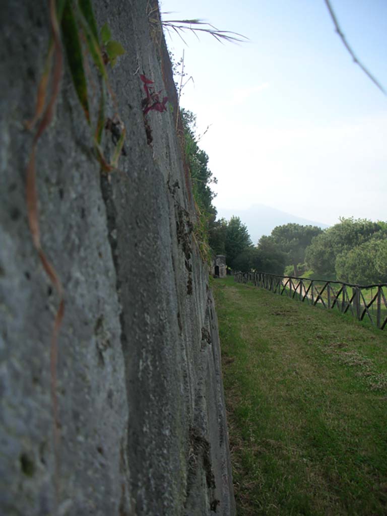 Walls on the east side of Pompeii, May 2010. Looking north along walls. Photo courtesy of Ivo van der Graaff.