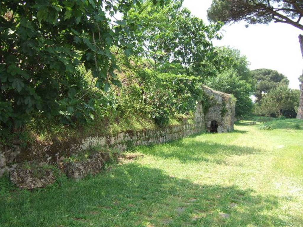 Pompeii city walls between Porta Sarno and the Porta Nola. May 2006. Looking west along the city walls towards Tower VII.